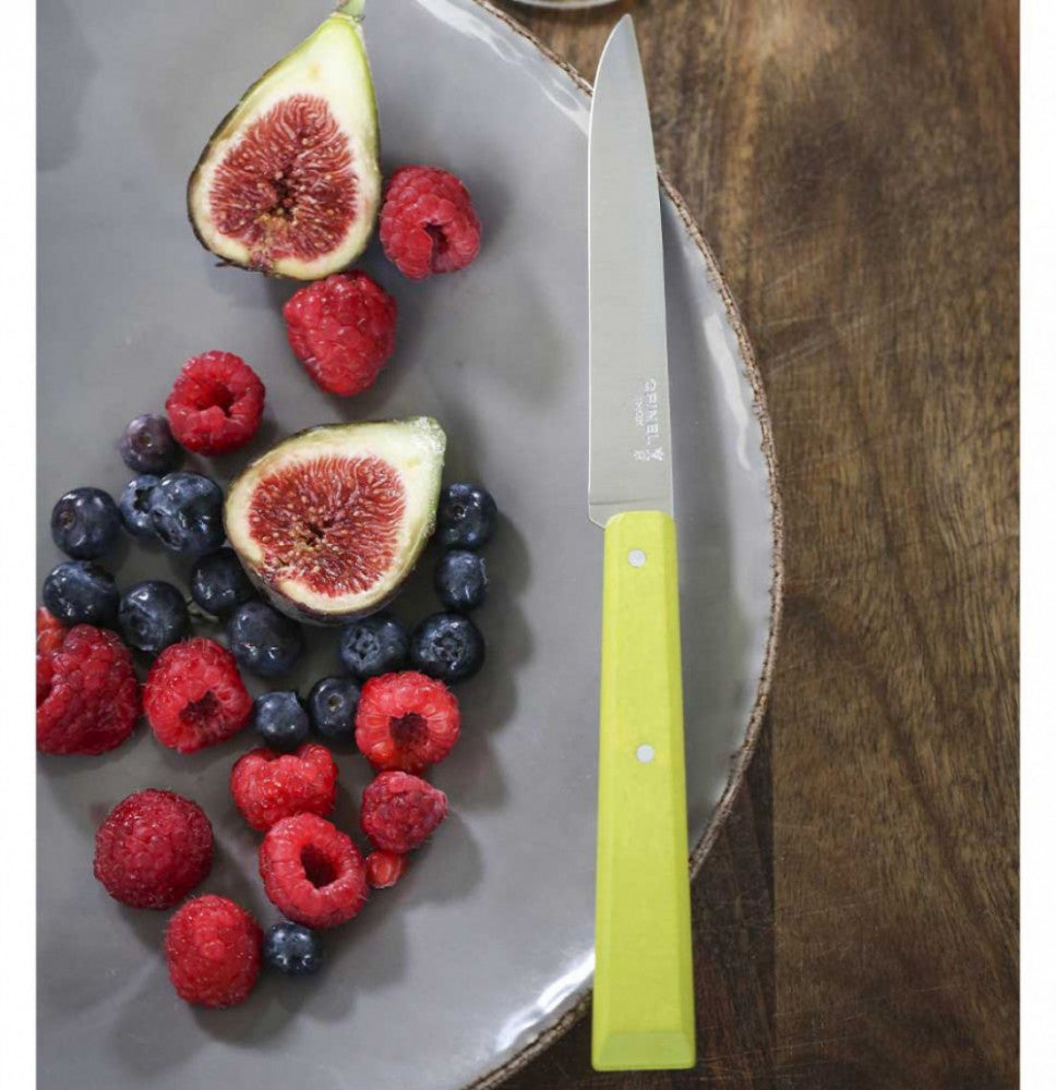 Bon Appetit No.125 Table Knife – Apple Green